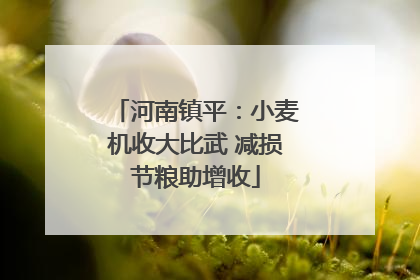 河南镇平：小麦机收大比武 减损节粮助增收