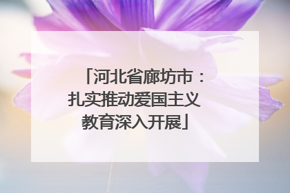 河北省廊坊市：扎实推动爱国主义教育深入开展