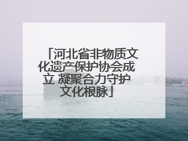 河北省非物质文化遗产保护协会成立 凝聚合力守护文化根脉