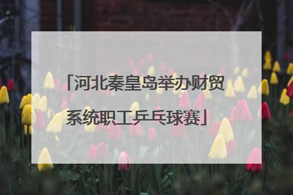 河北秦皇岛举办财贸系统职工乒乓球赛