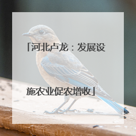 河北卢龙：发展设施农业促农增收