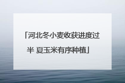 河北冬小麦收获进度过半 夏玉米有序种植