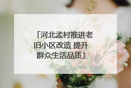 河北孟村推进老旧小区改造 提升群众生活品质