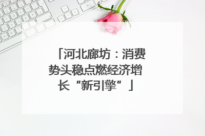 河北廊坊：消费势头稳点燃经济增长“新引擎”