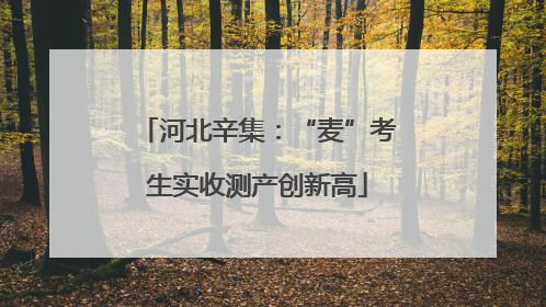 河北辛集：“麦”考生实收测产创新高