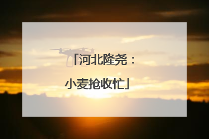河北隆尧：小麦抢收忙