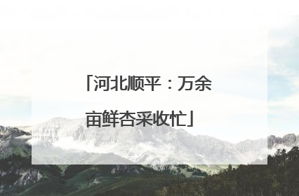 河北顺平：万余亩鲜杏采收忙
