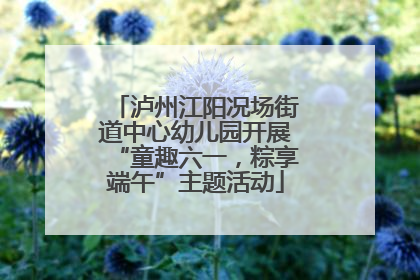 泸州江阳况场街道中心幼儿园开展“童趣六一，粽享端午”主题活动