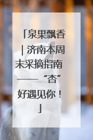 泉果飘香｜济南本周末采摘指南——“杏”好遇见你！