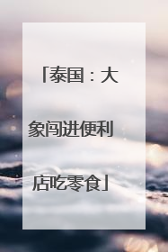 泰国：大象闯进便利店吃零食