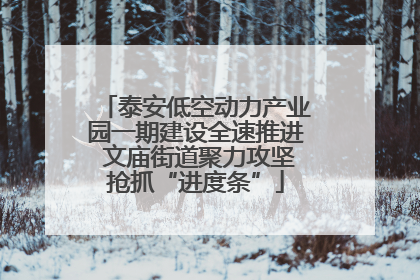 泰安低空动力产业园一期建设全速推进 文庙街道聚力攻坚抢抓“进度条”