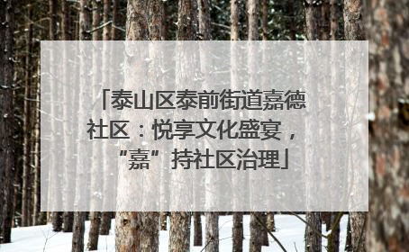 泰山区泰前街道嘉德社区：悦享文化盛宴，“嘉”持社区治理