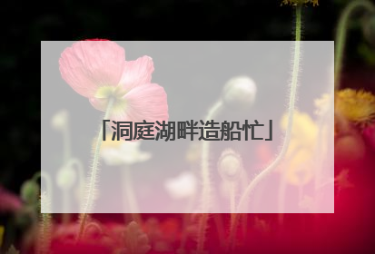 洞庭湖畔造船忙