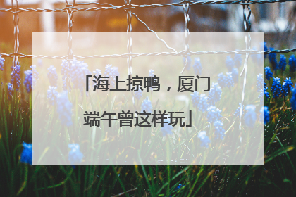 海上掠鸭，厦门端午曾这样玩