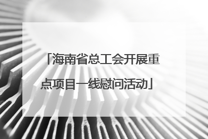 海南省总工会开展重点项目一线慰问活动