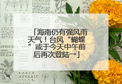 海南仍有强风雨天气！台风“蝴蝶”或于今天中午前后再次登陆→
