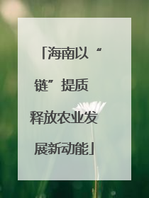 海南以“链”提质 释放农业发展新动能