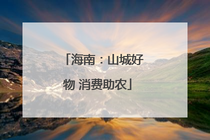 海南：山城好物 消费助农