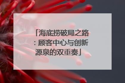 海底捞破局之路：顾客中心与创新源泉的双重奏