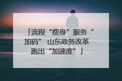 流程“瘦身”服务“加码” 山东政务改革跑出“加速度”