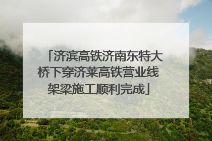 济滨高铁济南东特大桥下穿济莱高铁营业线架梁施工顺利完成