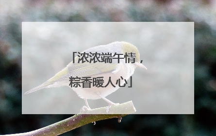 浓浓端午情，粽香暖人心