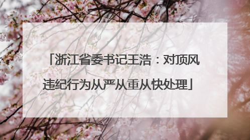 浙江省委书记王浩：对顶风违纪行为从严从重从快处理