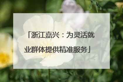 浙江嘉兴：为灵活就业群体提供精准服务