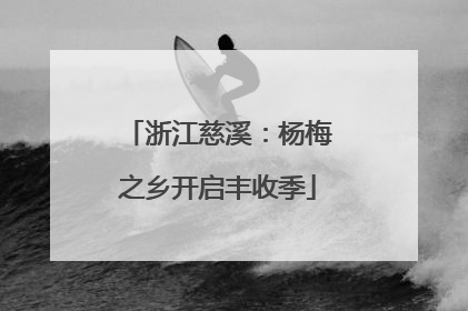 浙江慈溪：杨梅之乡开启丰收季