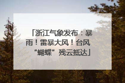 浙江气象发布：暴雨！雷暴大风！台风“蝴蝶”残云抵达