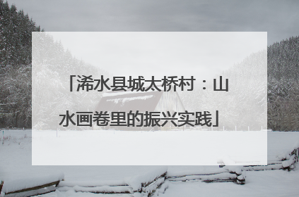 浠水县城太桥村：山水画卷里的振兴实践