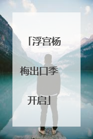 浮宫杨梅出口季开启