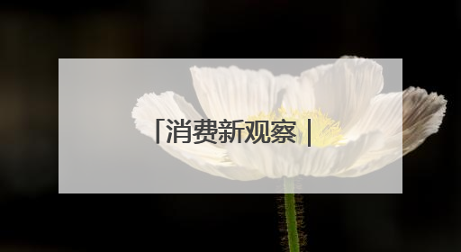 消费新观察｜船游沈阳开启文旅新体验
