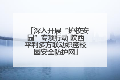 深入开展“护校安园”专项行动 陕西平利多方联动织密校园安全防护网