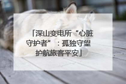 深山变电所“心脏守护者”：孤独守望护航旅客平安