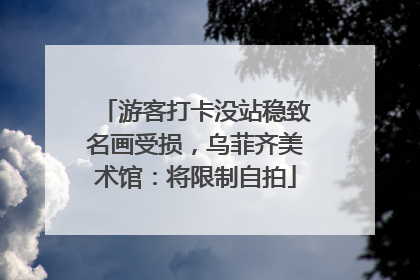 游客打卡没站稳致名画受损，乌菲齐美术馆：将限制自拍