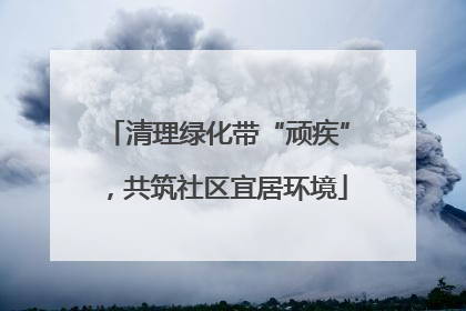 清理绿化带“顽疾”，共筑社区宜居环境