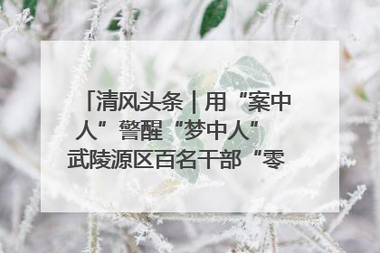 清风头条｜用“案中人”警醒“梦中人” 武陵源区百名干部“零距离”接受警示教育