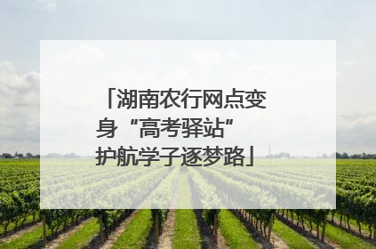 湖南农行网点变身“高考驿站” 护航学子逐梦路