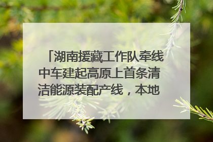 湖南援藏工作队牵线中车建起高原上首条清洁能源装配产线，本地大学生成车间检验员