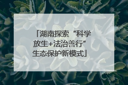 湖南探索“科学放生+法治善行”生态保护新模式
