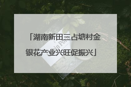湖南新田三占塘村金银花产业兴旺促振兴