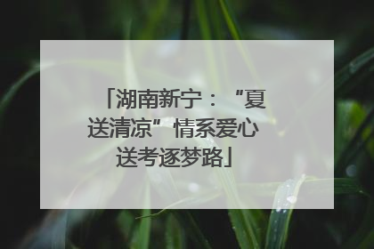 湖南新宁：“夏送清凉”情系爱心送考逐梦路