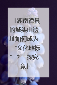 湖南澧县的城头山遗址如何成为“文化地标”？一探究竟