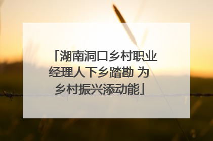 湖南洞口乡村职业经理人下乡踏勘 为乡村振兴添动能