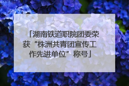 湖南铁道职院团委荣获“株洲共青团宣传工作先进单位”称号
