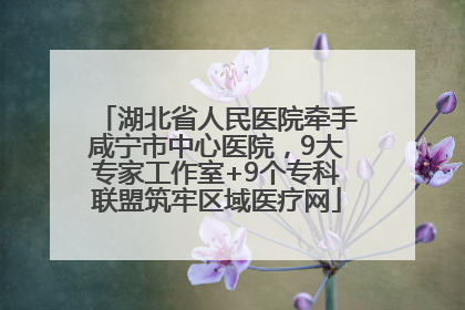 湖北省人民医院牵手咸宁市中心医院，9大专家工作室+9个专科联盟筑牢区域医疗网