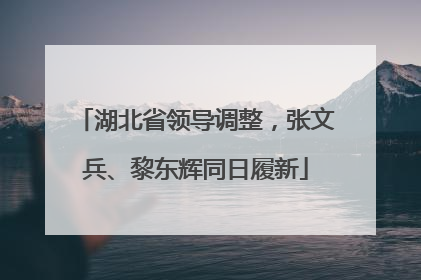 湖北省领导调整，张文兵、黎东辉同日履新