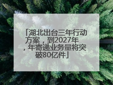 湖北出台三年行动方案，到2027年，年寄递业务量将突破80亿件