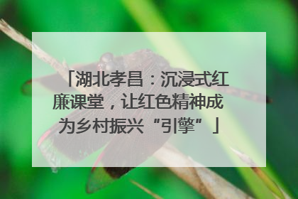 湖北孝昌：沉浸式红廉课堂，让红色精神成为乡村振兴“引擎”